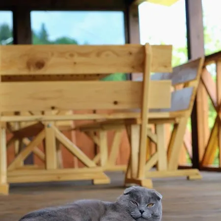 будиночок для щастя *